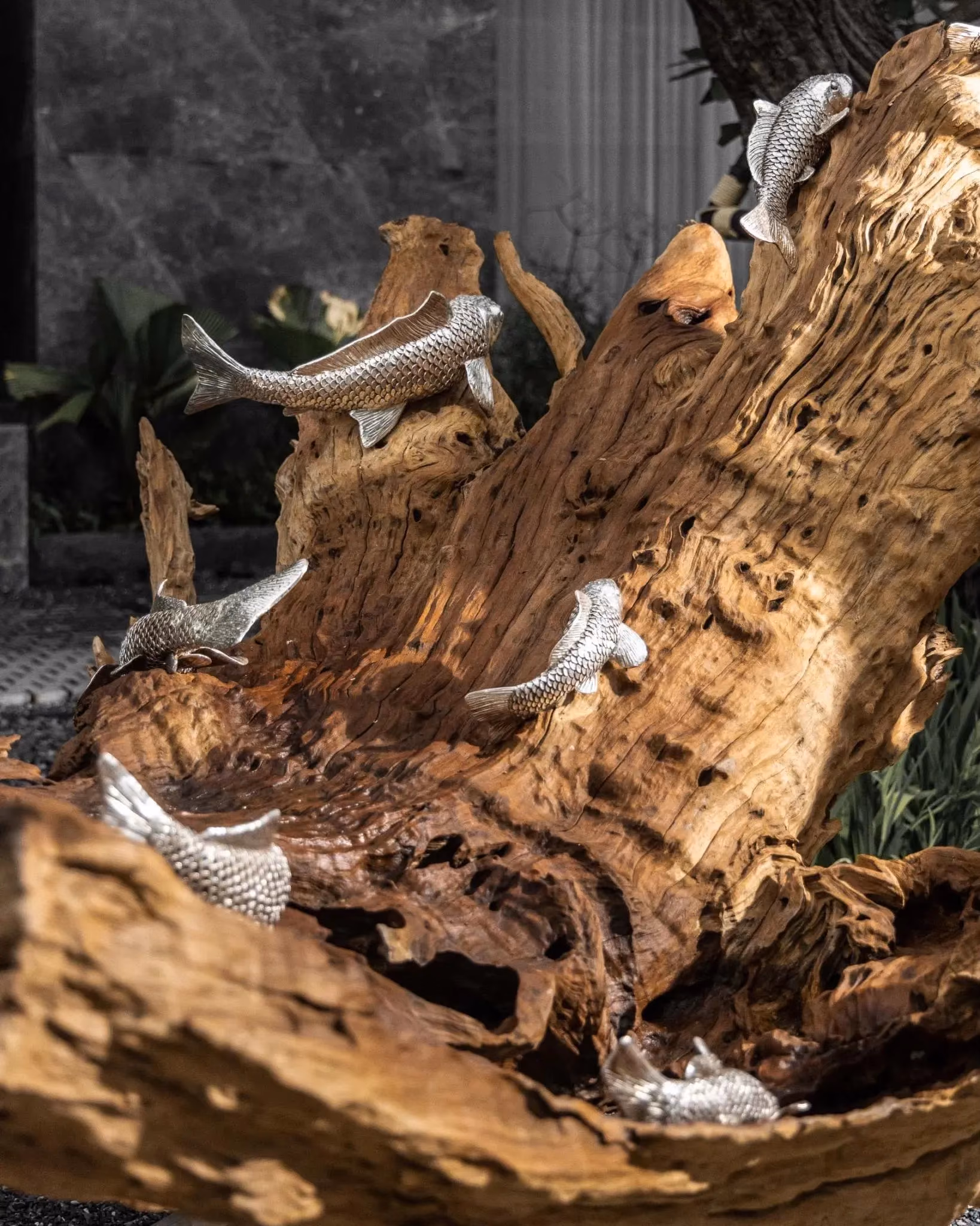 Koi on Bulky Natural Wood